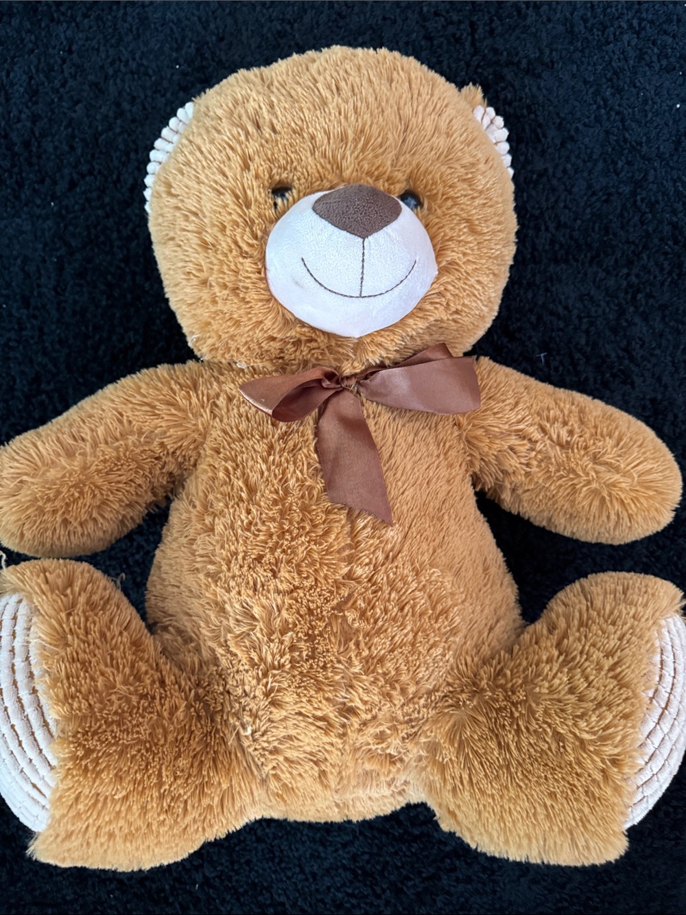 Plush Brown Teddy Bear with Ribbon
